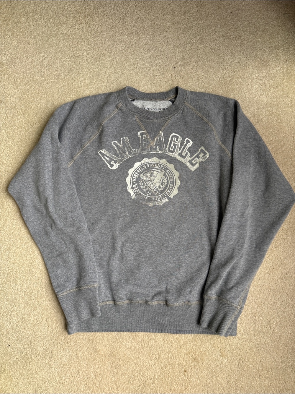 American Eagle Vintage Fit Gray Logo Crewneck Sweatshirt